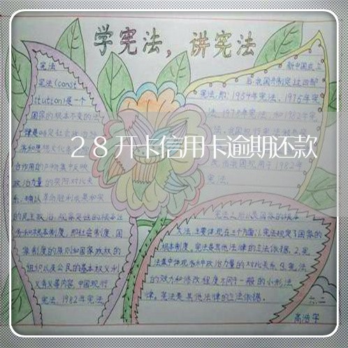 28开卡信用卡逾期还款/2023112452937