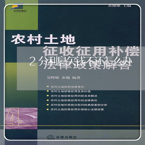 2分利息欠钱不还怎么办/2023120472026