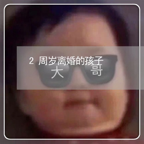 2周岁离婚的孩子/2023100672682