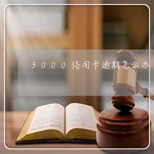 3000信用卡逾期怎么办/2023100997058