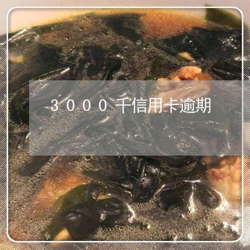 3000千信用卡逾期/2023062184514