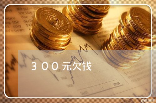 300元欠钱/2023121894947