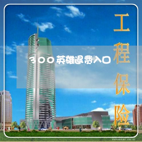 300英雄退费入口/2023061894047