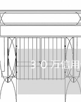 30万信用卡逾期最新后果/2023100949683