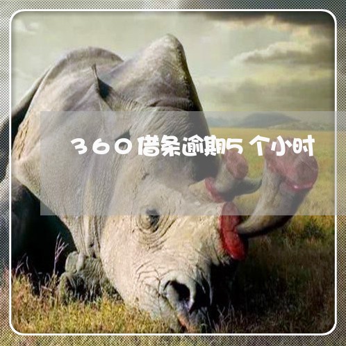 360借条逾期5个小时/2023062230470