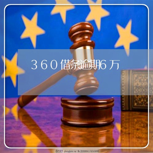 360借条逾期6万/2023062940493