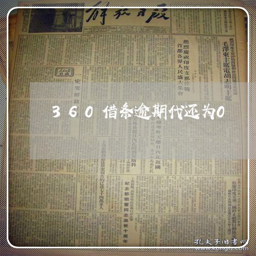 360借条逾期代还为0/2023062262724