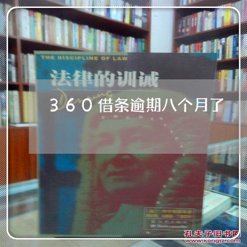 360借条逾期八个月了/2023062238250