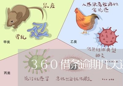 360借条逾期几天还了/2023062283717