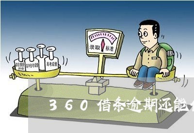 360借条逾期还能借钱/2023080263725