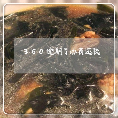 360逾期了协商还款/2023101614827