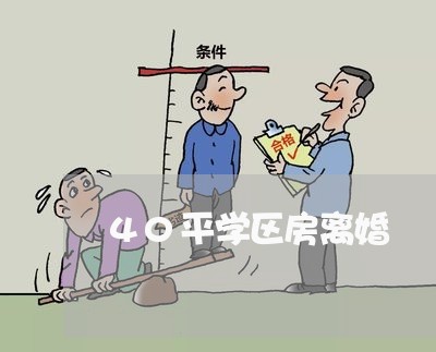 40平学区房离婚/2023100670502