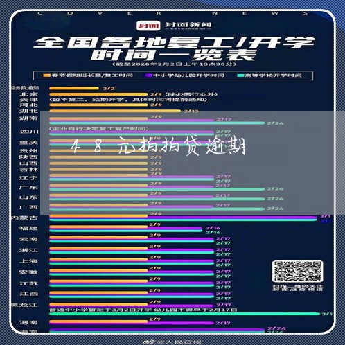 48元拍拍贷逾期/2023080226250