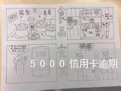 5000信用卡逾期/2023111707029