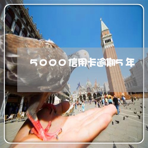 5000信用卡逾期5年/2023060260783