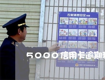 5000信用卡逾期利息/2023062783736