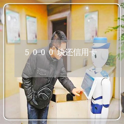 5000块还信用卡/2023072340925