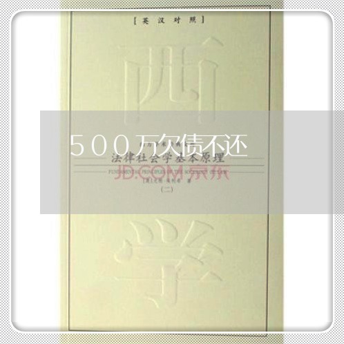 500万欠债不还/2023111149471