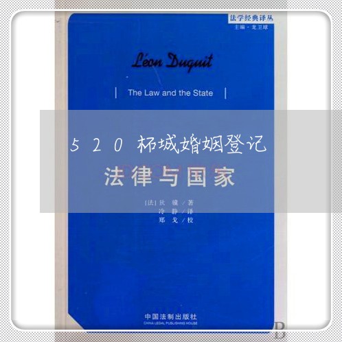 520柘城婚姻登记/2023112705149