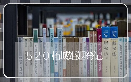 520柘城婚姻登记/2023112717159