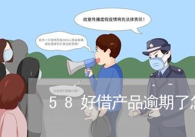 58好借产品逾期了怎么办/2023061584938