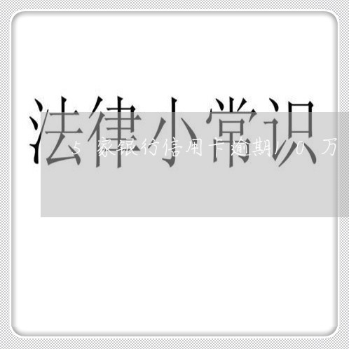 5家银行信用卡逾期10万/2023051206959