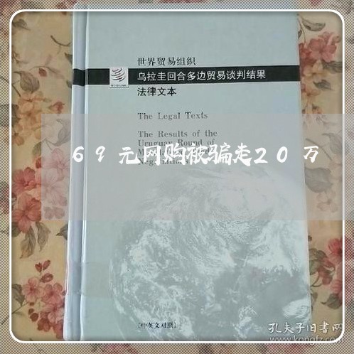 69元网购被骗走20万/2023062652603