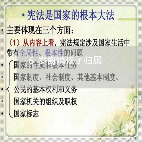 6岁离婚孩子归属/2023100670806