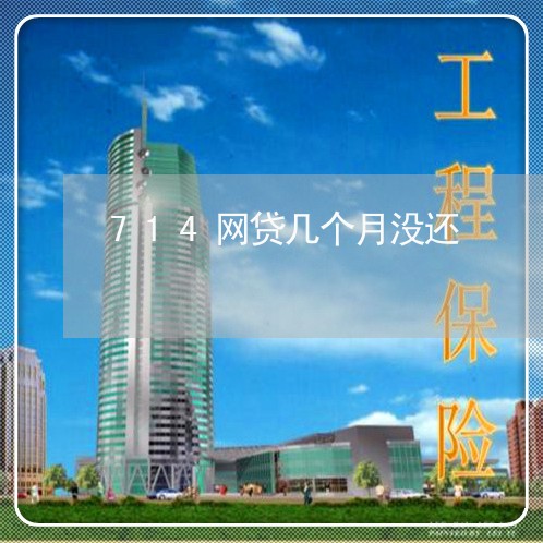 714网贷几个月没还/2023111517259