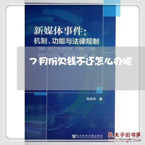 7月份欠钱不还怎么办呢/2023110985059