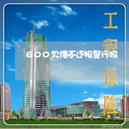 800欠债不还报警行吗/2023111727363