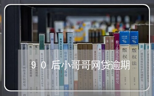 90后小哥哥网贷逾期/2023110605938