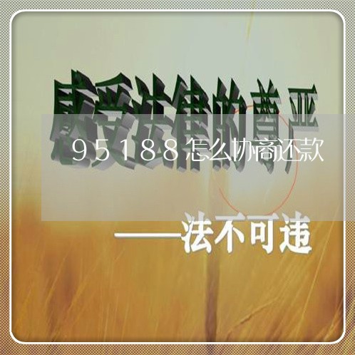 95188怎么协商还款/2023032660381