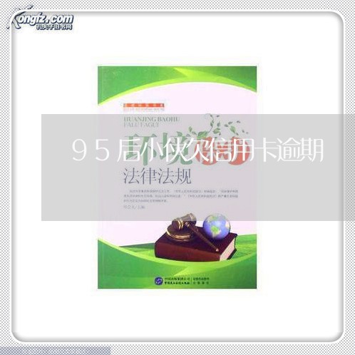 95后小伙欠信用卡逾期/2023060230473