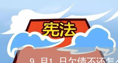 9月1日欠债不还怎么办/2023110719460