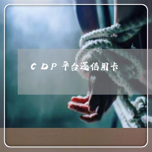 CDP平台还信用卡/2023092956070