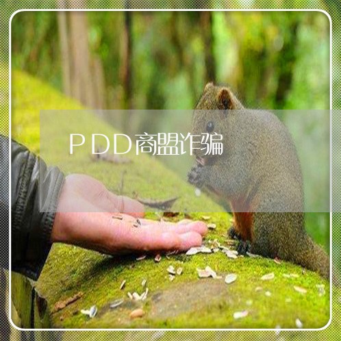 PDD商盟诈骗/2023031408582