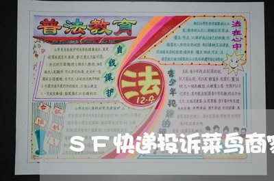 SF快递投诉菜鸟商家/2023032914947