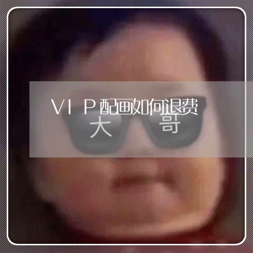 VIP配画如何退费/2023052005947