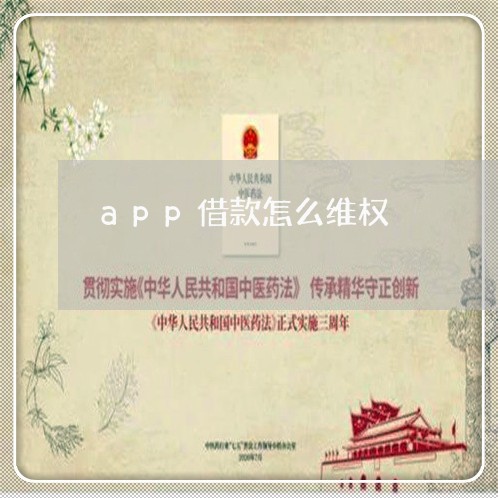 app借款怎么维权/2023061374704