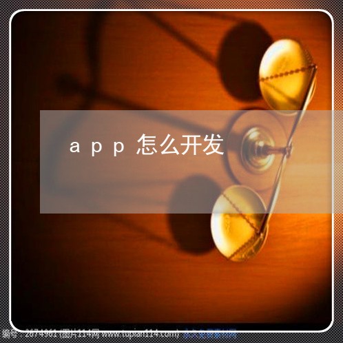 app怎么开发/2023061385047