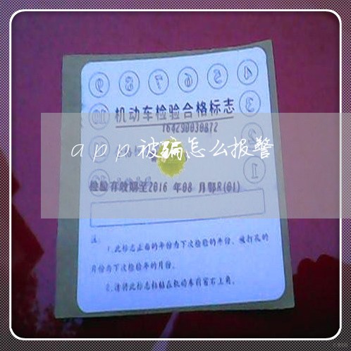 app被骗怎么报警/2023061396943