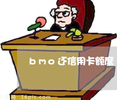 bmo还信用卡额度/2023092817959