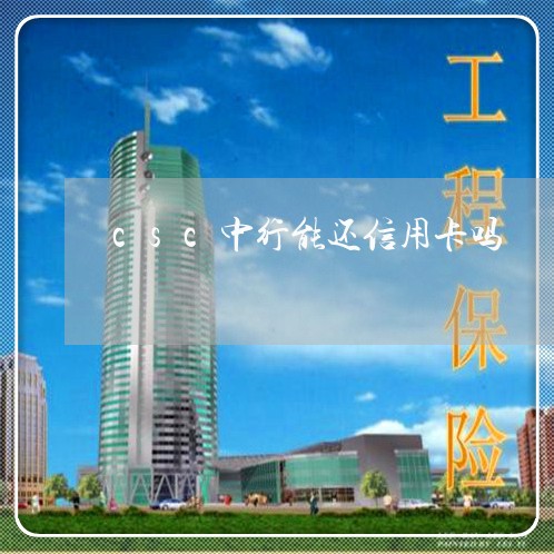 csc中行能还信用卡吗/2023090685937