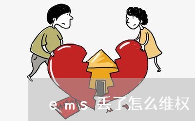 ems丢了怎么维权/2023061317068