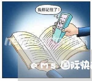 ems国际快递查询/2023040185938