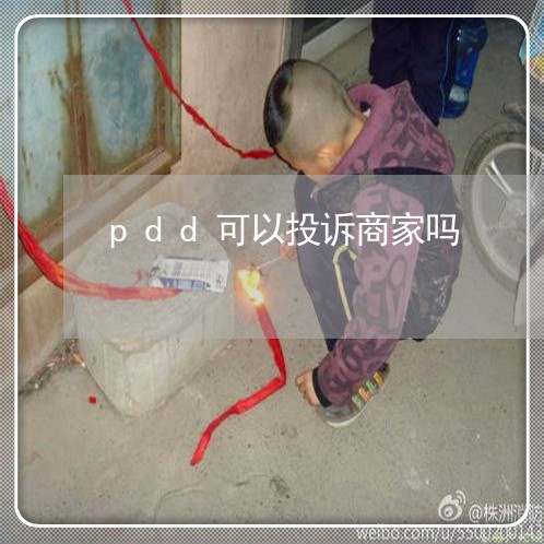 pdd可以投诉商家吗/2023040330271