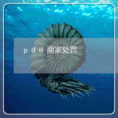 pdd商家处罚/2023032483837