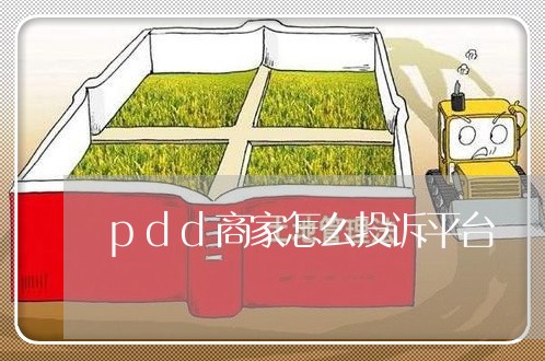 pdd商家怎么投诉平台/2023022850159