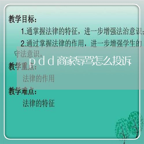 pdd商家辱骂怎么投诉/2023032972848